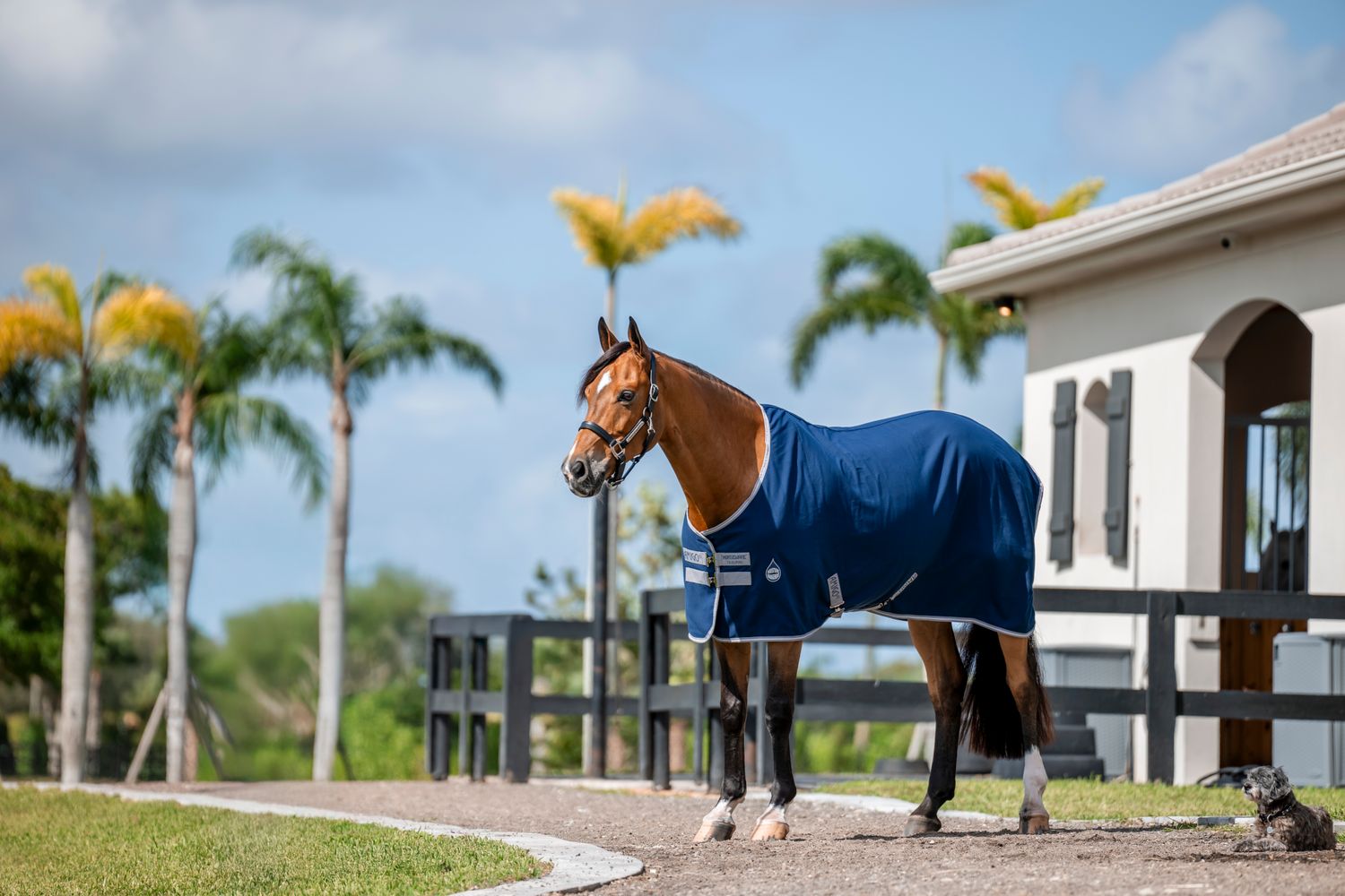 HORSEWARE - Amigo Stable Sheet Navy/Titanium Grey/Silver, Size: 69