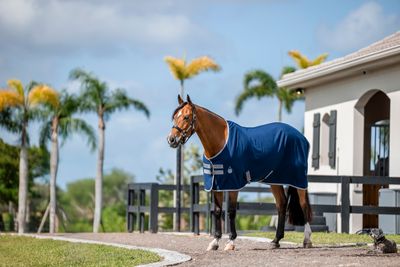 HORSEWARE - Amigo Stable Sheet Navy/Titanium Grey/Silver