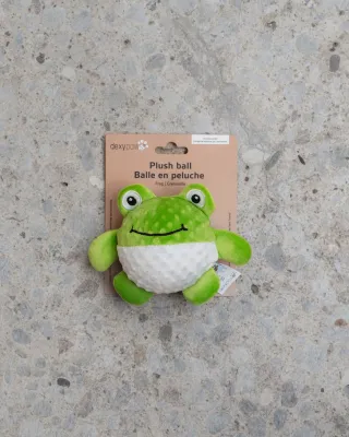 DEXYPAWS - Frog Interactive Toy