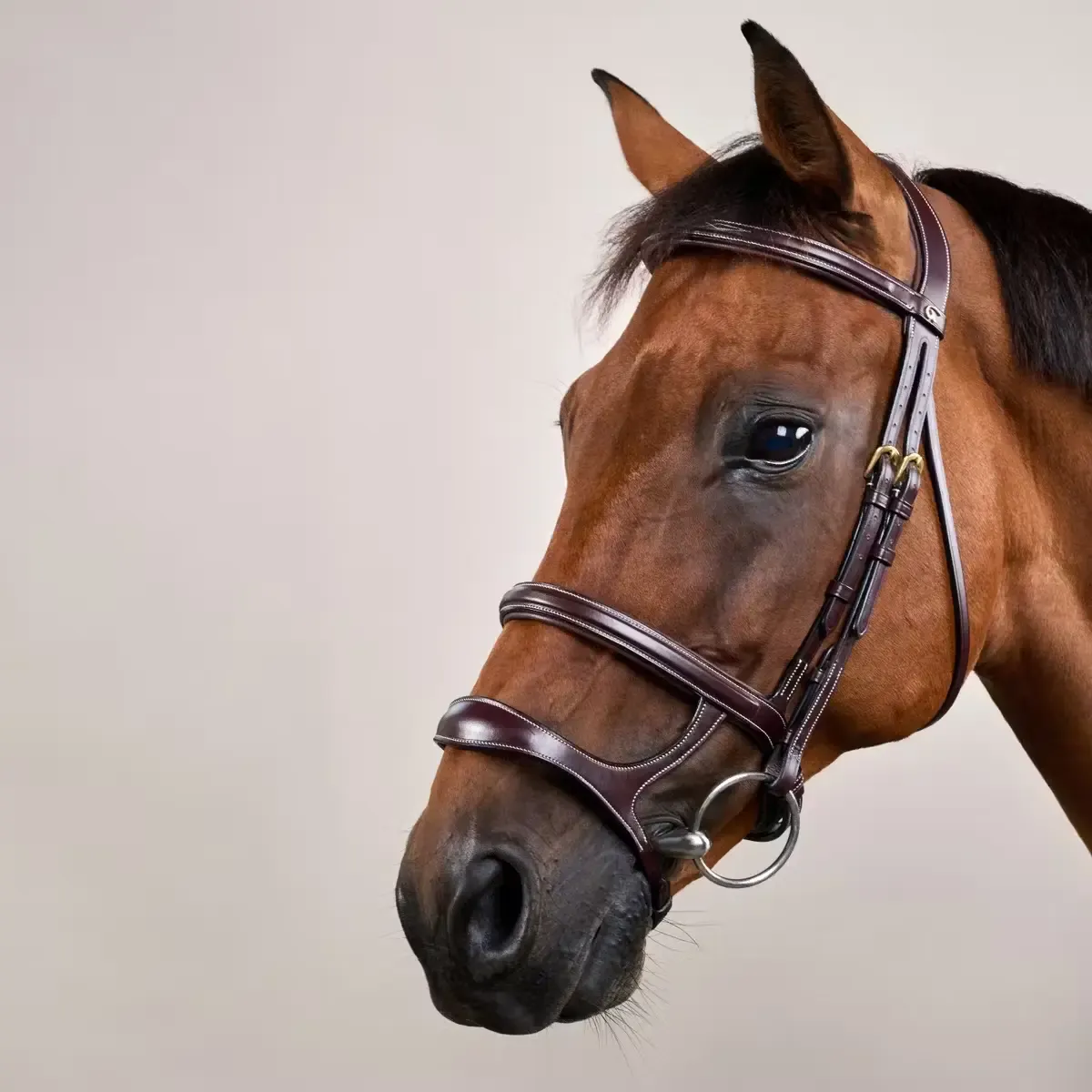 DY'ON - Bridle DY Collection Double Noseband Havana