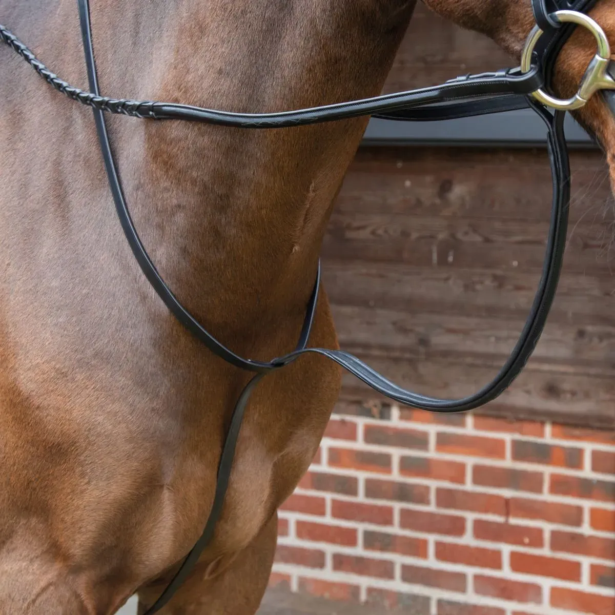 VELOCITI LUSSO - Standing Martingale