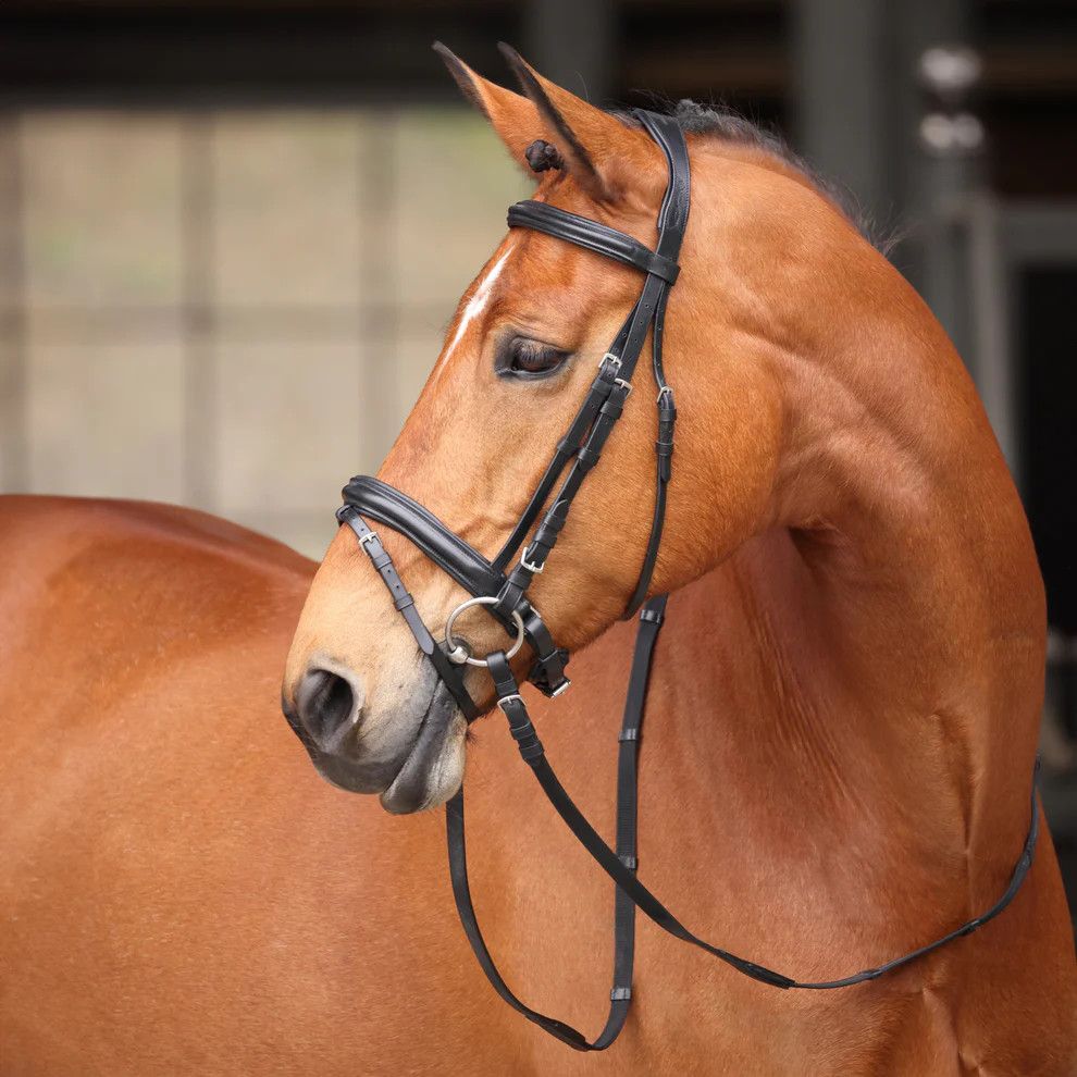SHIRES EQUESTRIAN - Bridle Avignon Aspen Black, Size: Cob, Color: Noir
