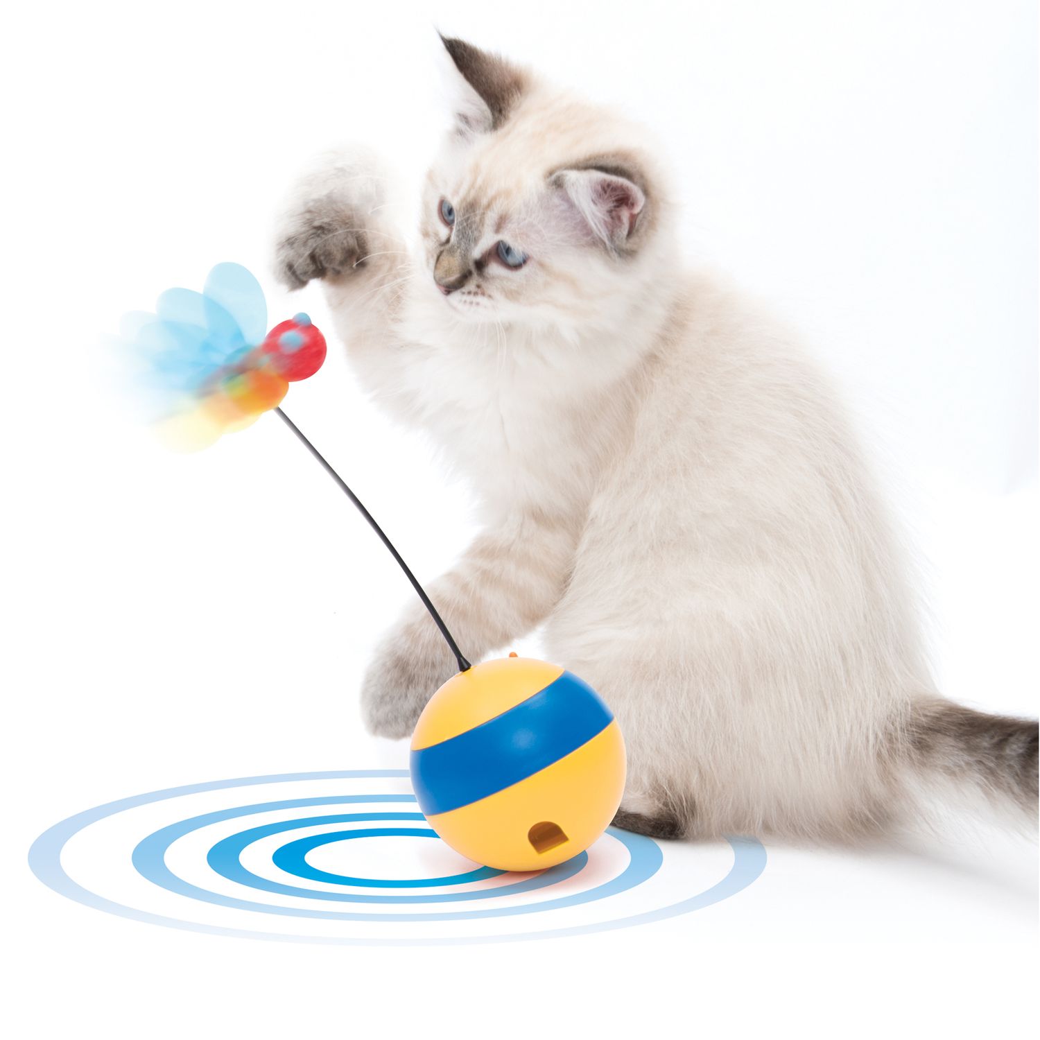 CATIT - Play Spinning Bee, Colour: Jaune &amp; Bleu