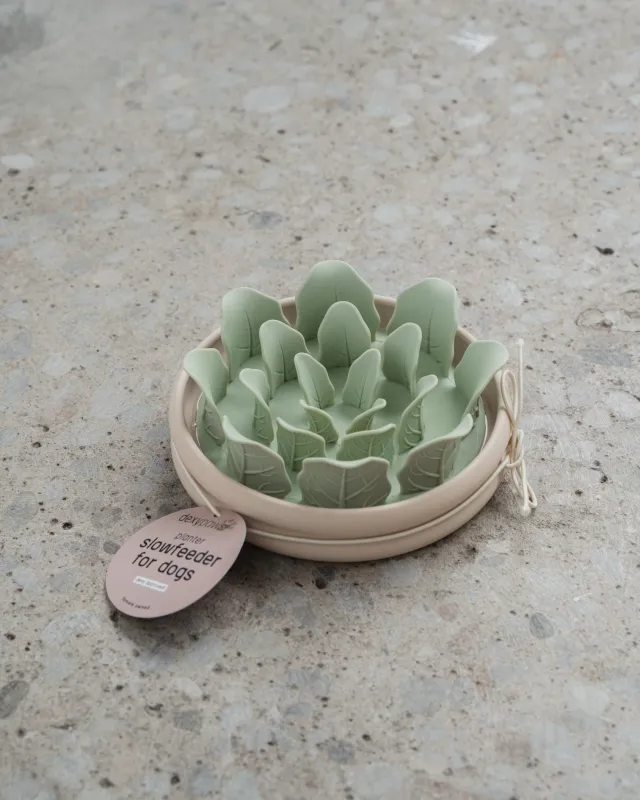 DEXYPAWS - Planter Slow Feeder