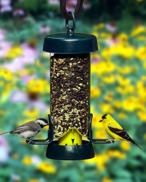 BROME BIRD CARE - Tube Solution 100, Capacity: 1.7lbs