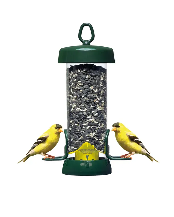 BROME BIRD CARE - Tube Solution 100