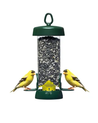 BROME BIRD CARE - Tube Solution 100