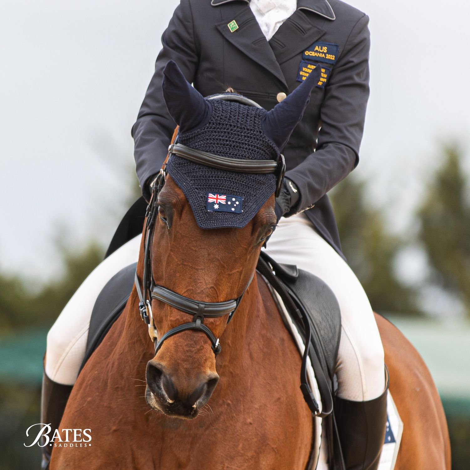Housse De Selle De Dressage Bates Deluxe Artiste - Occasion