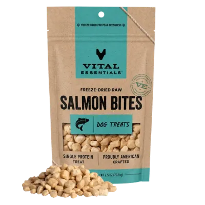 VITAL ESSENTIALS - Freeze-Dried Salmon Bites Single Protein