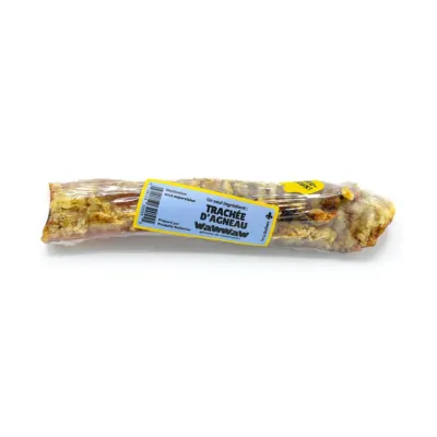 WAWWAW - Lamb Trachea