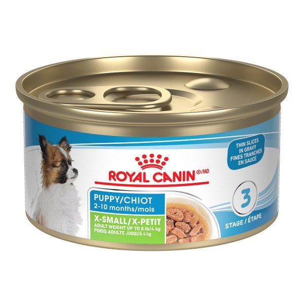 ROYAL CANIN - Canned Thin Slices in Gravy for X-Small Puppy, Size: 85g