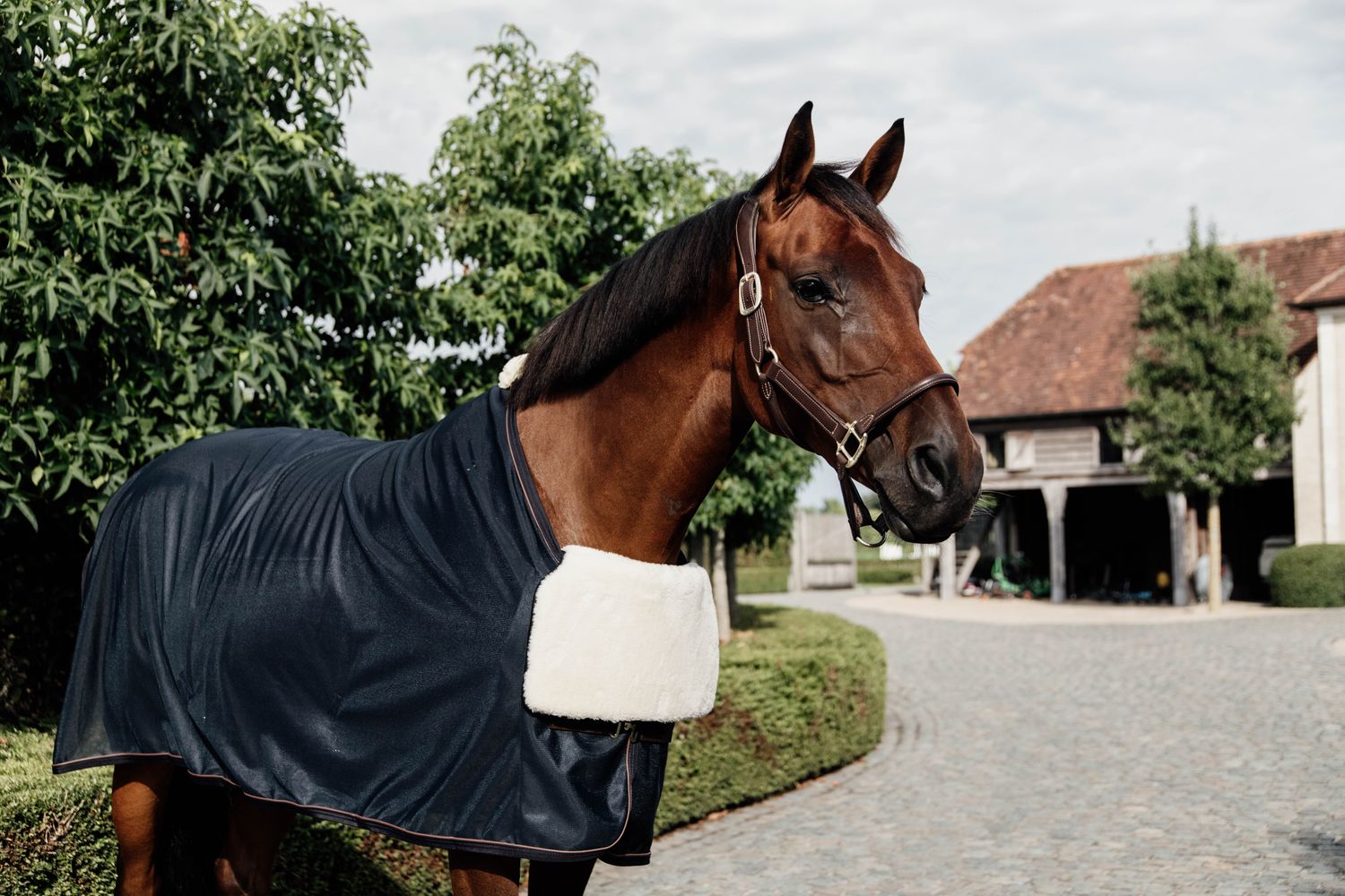 KENTUCKY HORSEWEAR - Horse Bib Chest Protector Sheepskin