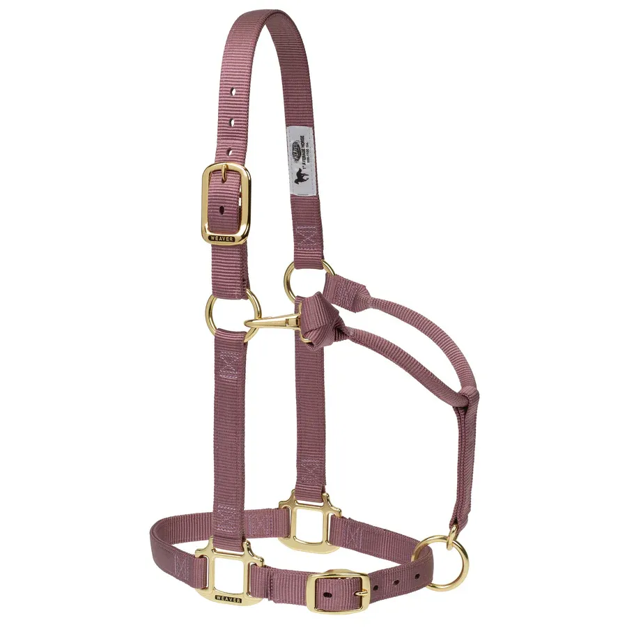 WEAVER - Original Adjustable Violet Chin &amp; Throat Snap 1'' Halter, Size: Yearling