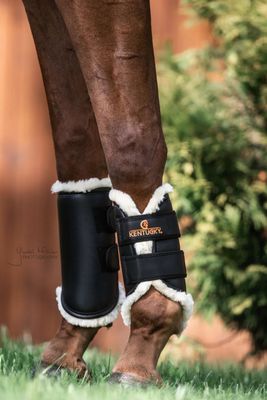 KENTUCKY HORSEWEAR - Front Brushing Boots in Leather Black