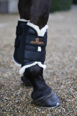 KENTUCKY HORSEWEAR - Front Brushing Boots in Leather Black