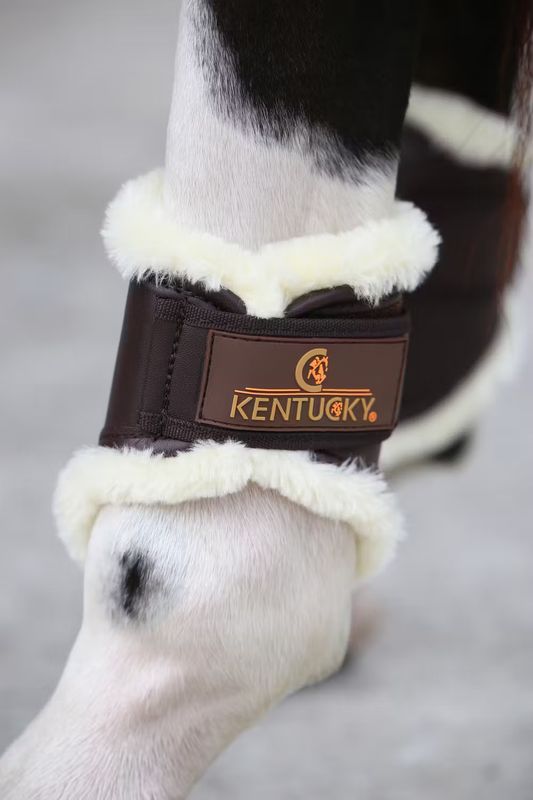 KENTUCKY HORSEWEAR - Brushing Boots in Leather Hind Brown