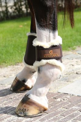 KENTUCKY HORSEWEAR - Brushing Boots in Leather Hind Brown
