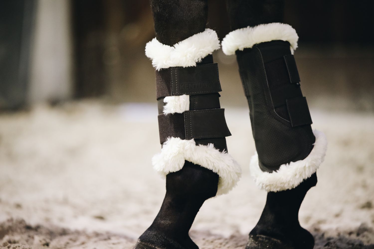 KENTUCKY HORSEWEAR - Air Brushing Boots Brown