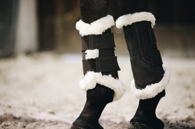 KENTUCKY HORSEWEAR - Air Brushing Boots Brown