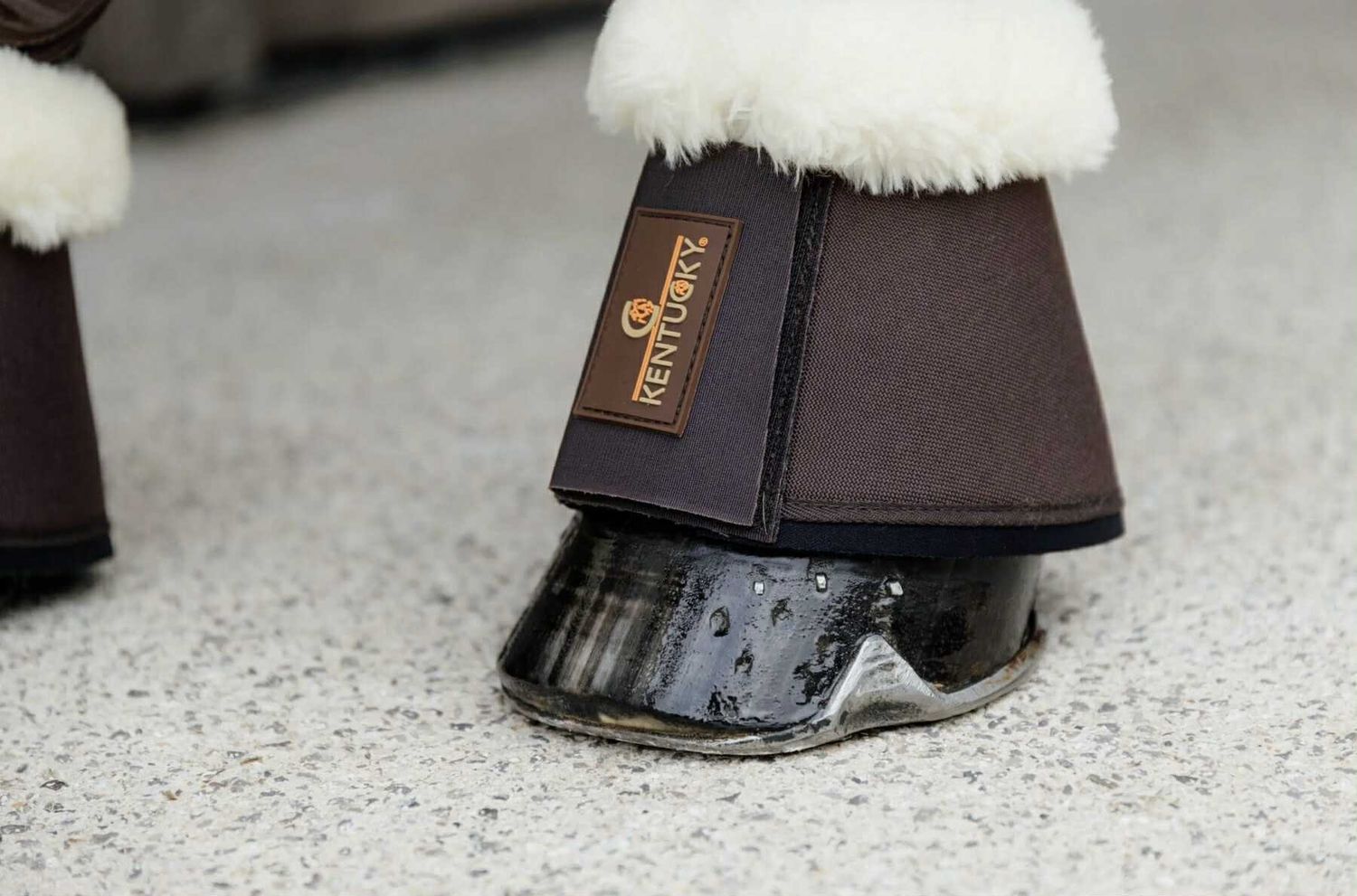 KENTUCKY HORSEWEAR - Bell Boots with Sheepskin Brown