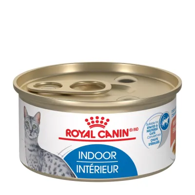 ROYAL CANIN - Indoor Morsels in Gravy Canned Cat Food