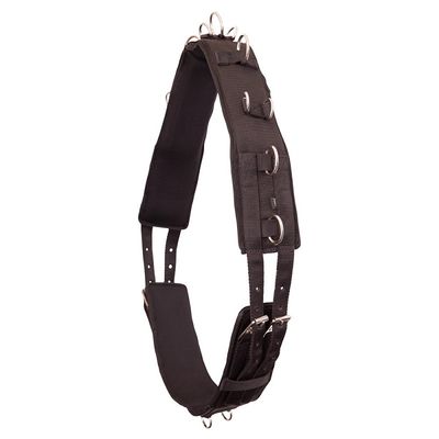 PREMIERE - Lunging Roller Black