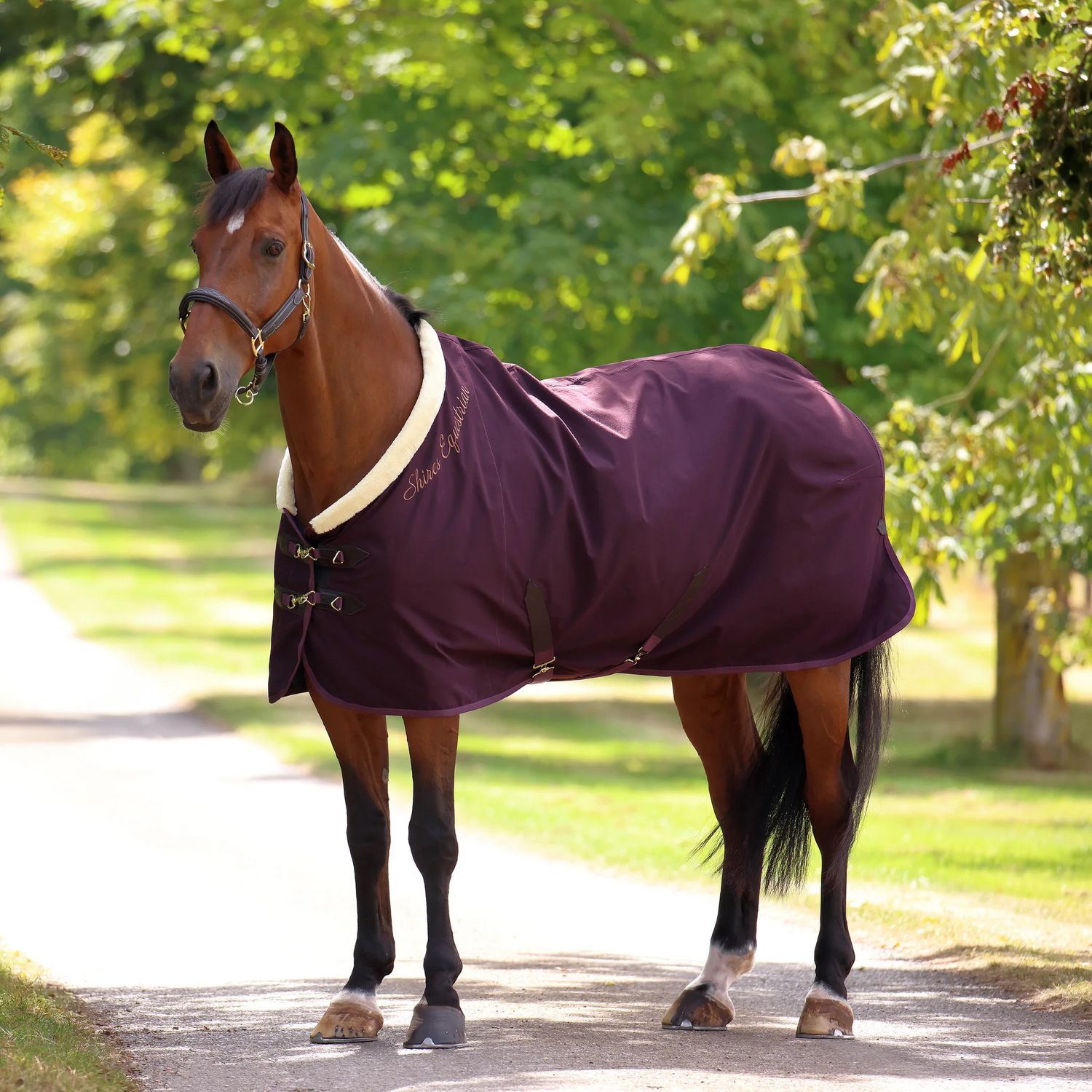 SHIRES - Deluxe Stable Sheet Burgundy, Size: 78