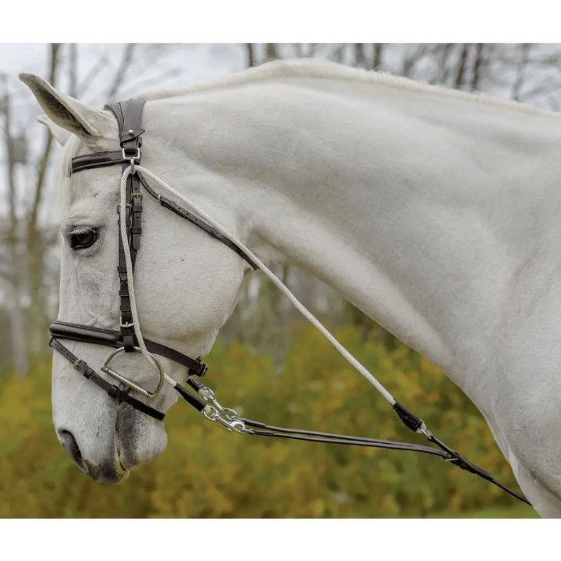 SHIRES EQUESTRIAN - DeGogue Training Systeme Havana, Size: Full