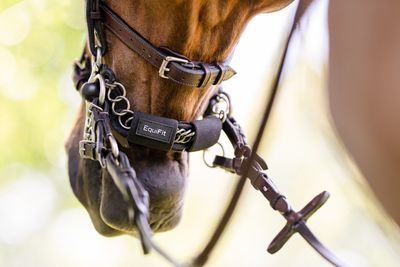 EQUIFIT - T-Foam Curbchain Cover Black