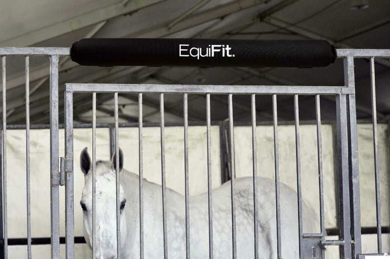EQUIFIT - StallBumper Black