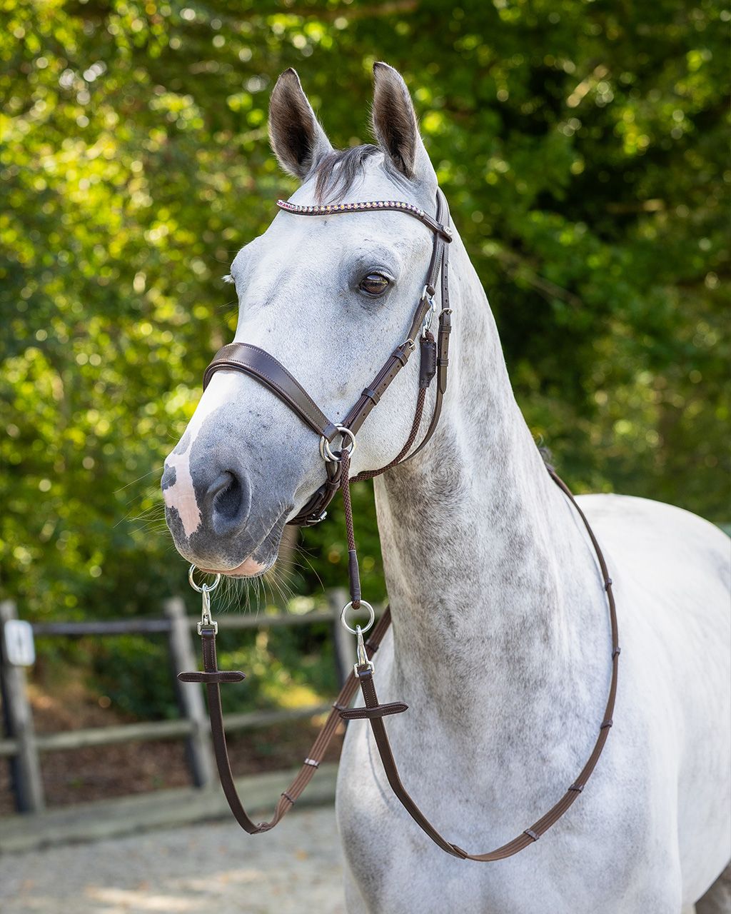 QHP - Bridle Sunna Bitless Brown