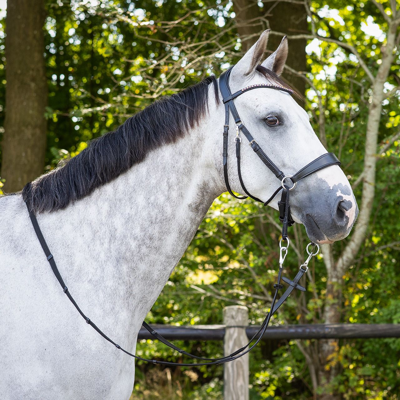 QHP - Bridle Sunna Bitless Black