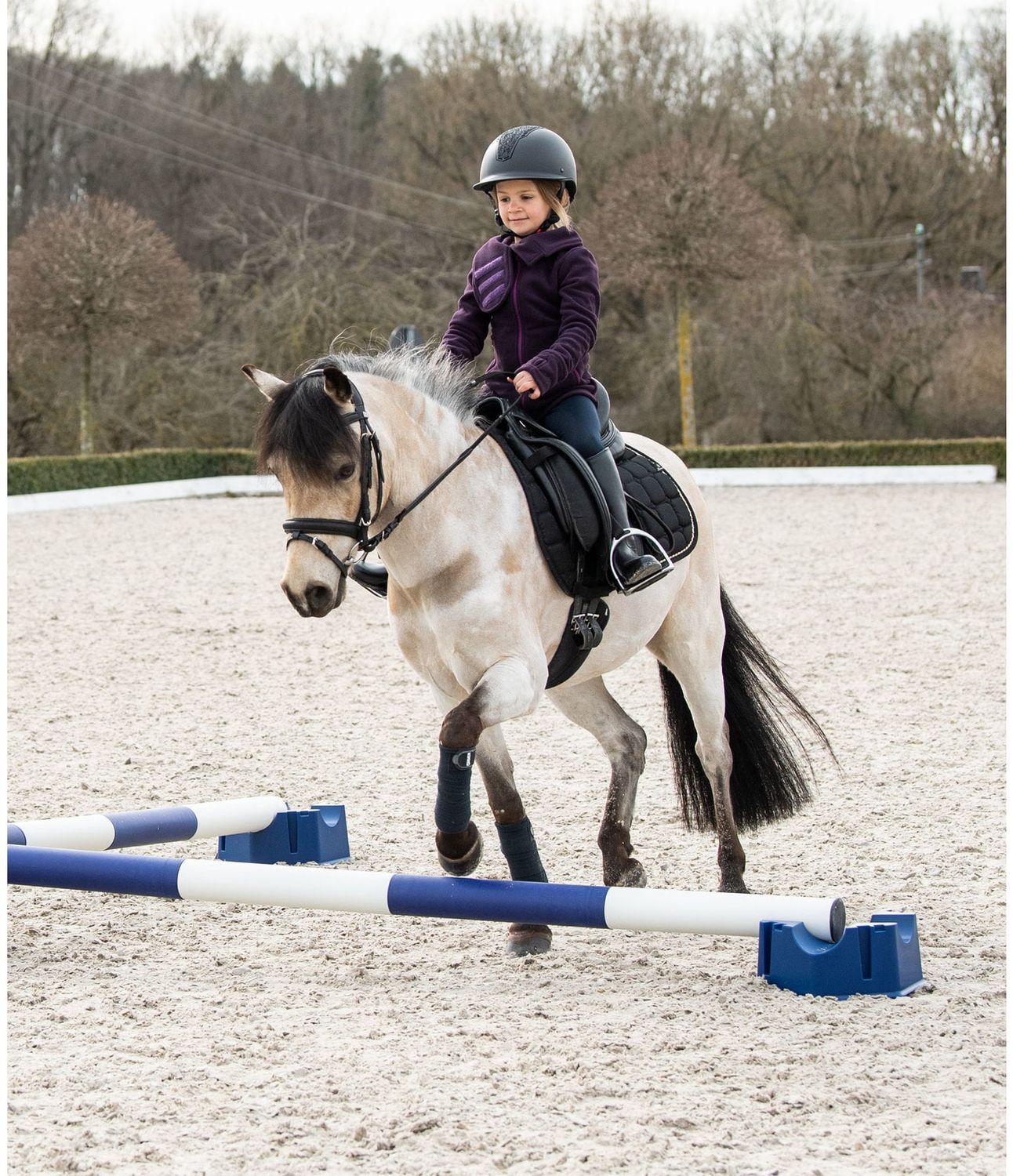 CENTURION - 4 Way Pole Riser (pair), Color: Bleu