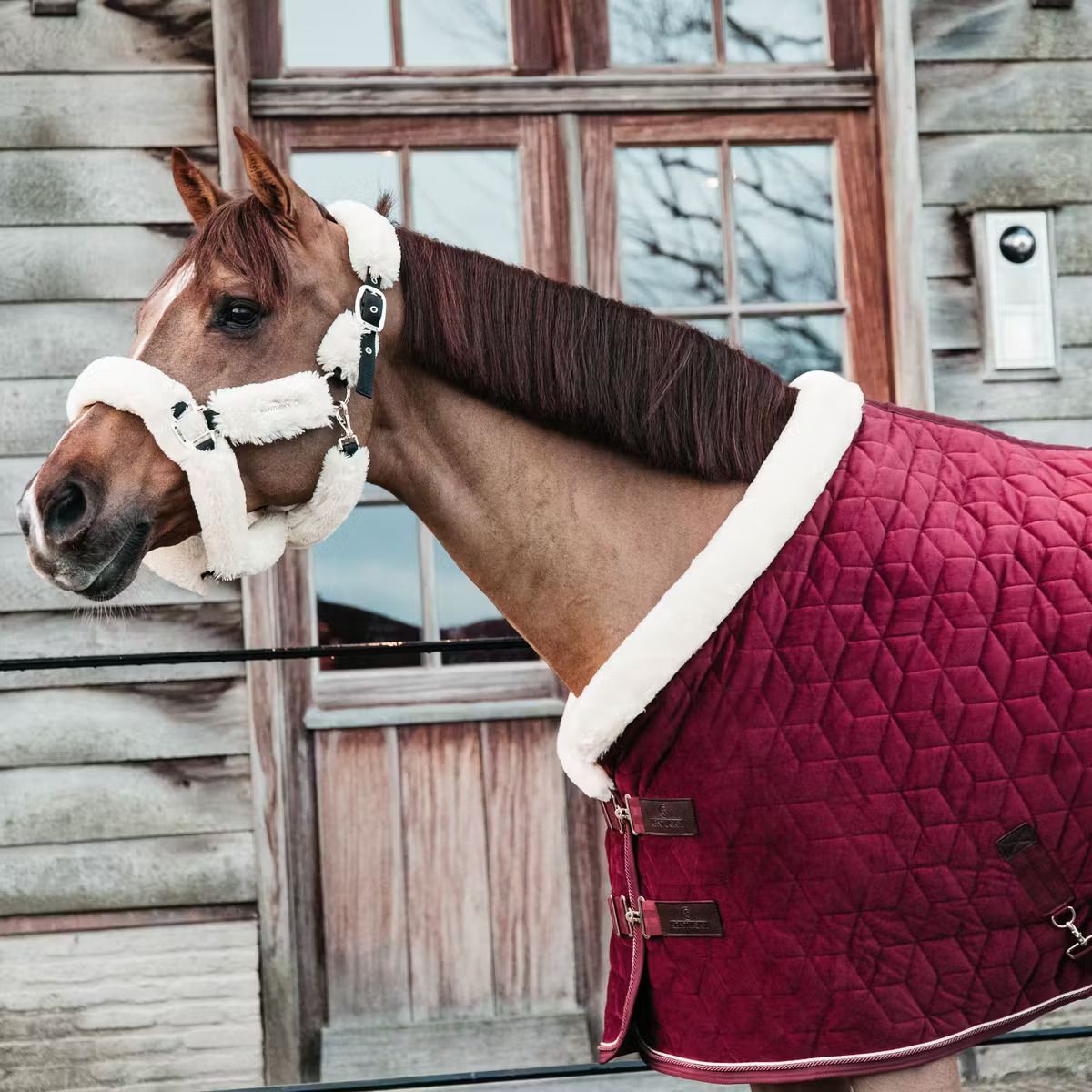 KENTUCKY HORSEWEAR - Show Rug Velvet Bordeaux