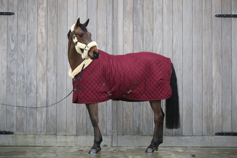 KENTUCKY HORSEWEAR - Show Rug Velvet Bordeaux