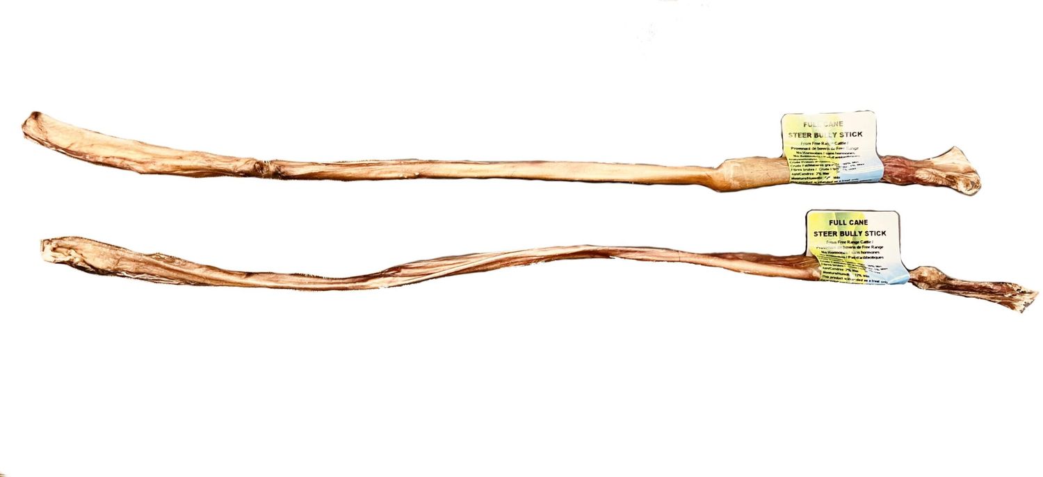 NATURE'S OWN DOG CHEWS - Full Length 24'' Odour Free Steer Bully Stick, Size: 18''-24''