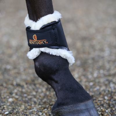 KENTUCKY HORSEWEAR - Brushing Boots in Leather Hind Black