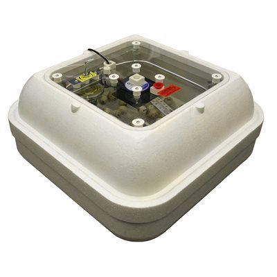 RANCH CUNICOLE - Circulated Air Picture Window Hova-Bator, Capacity: 42 Eggs Capacity