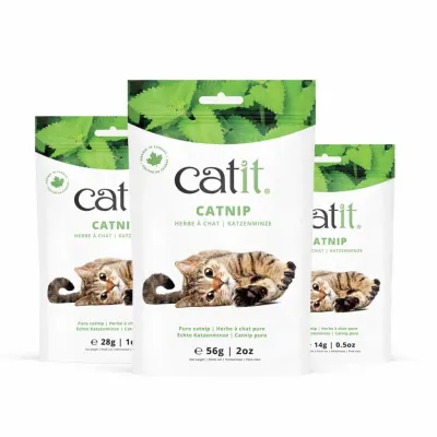 CATIT - Dried Catnip