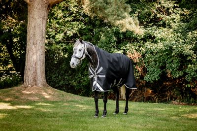 HORSEWARE - Amigo Bravo 12 Wug  T/O 0g Black/Titanium Grey/Silver