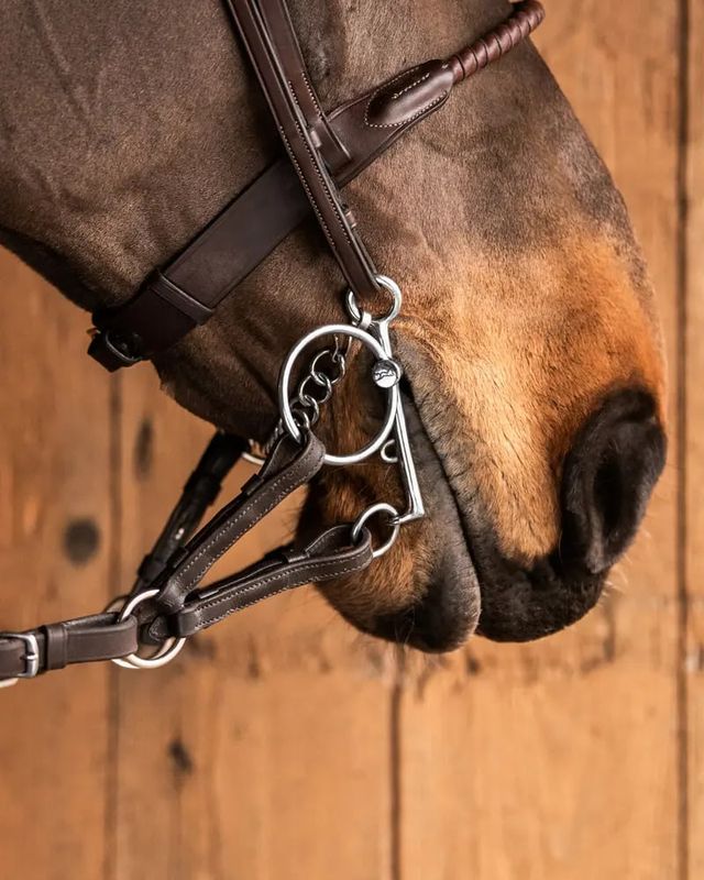 OVATION - Euro Bit Converter