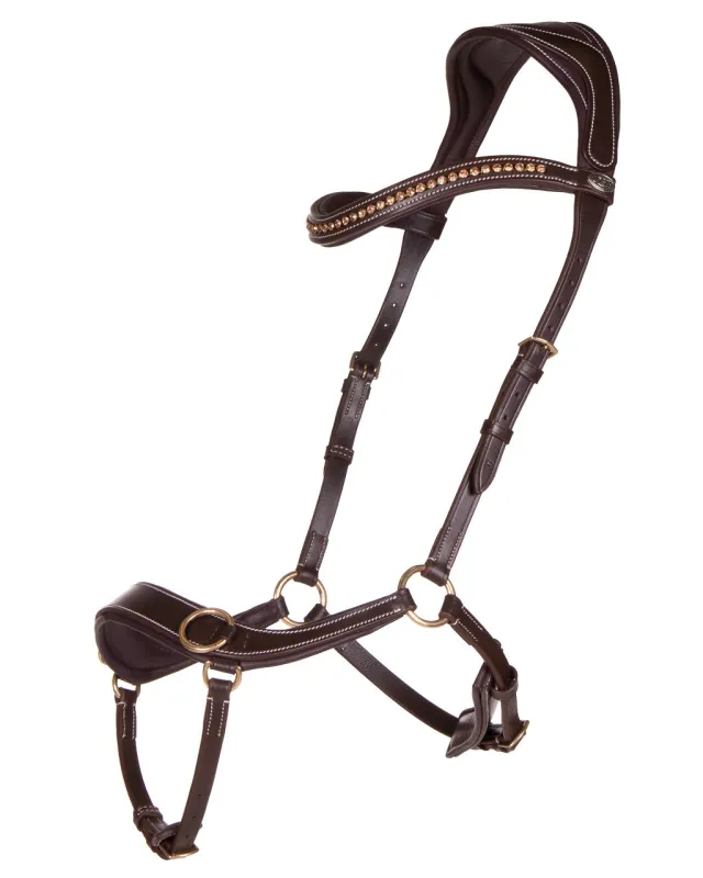 QHP -  Anatomical Bitless Bridle Havana