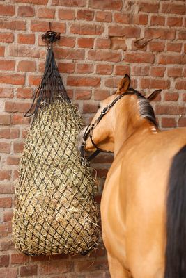 WALDHAUSEN - Large Slow Feed Haynet Black