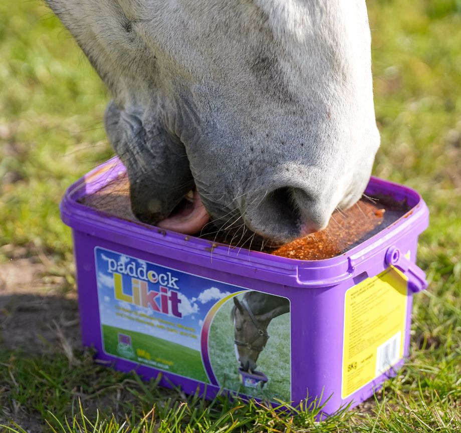 LIKIT - Paddock Lick