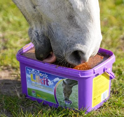 LIKIT - Paddock Lick
