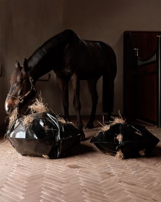 KENTUCKY HORSEWEAR - Grooming Deluxe Play &amp; HayBag Slow Feeder Round Black