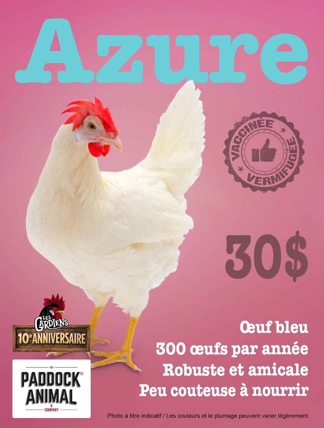 FERME ALTERNATIVE - Azur Laying Hen, Date: 6 Juin 2026
