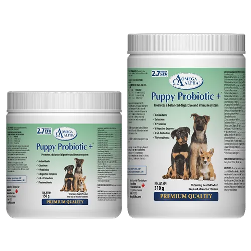 OMEGA ALPHA - Puppy Probiotics+