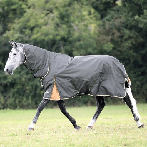 SHIRES EQUESTRIAN - Highlander Plus 50g Combo Turnout Rug