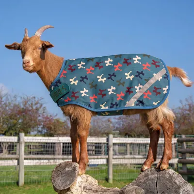 SHIRES EQUESTRIAN - Tempest 100g Goat Rug
